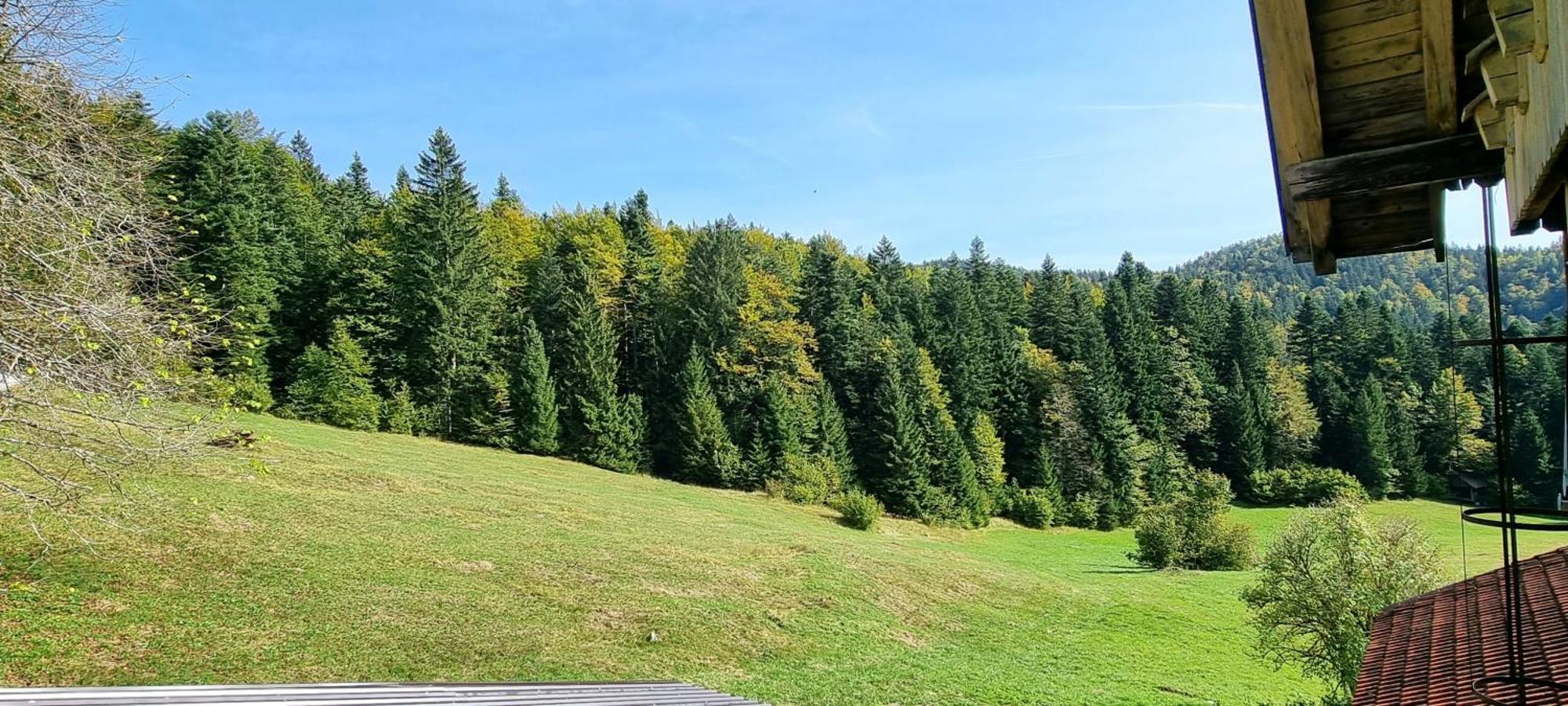 Planinski Dom Na Travni Gori Sodrazica Exterior foto